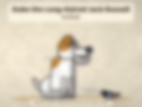 Cover / portada: Duke the Long-Haired Jack Russell / Duke, el Jack Russell Peludo
